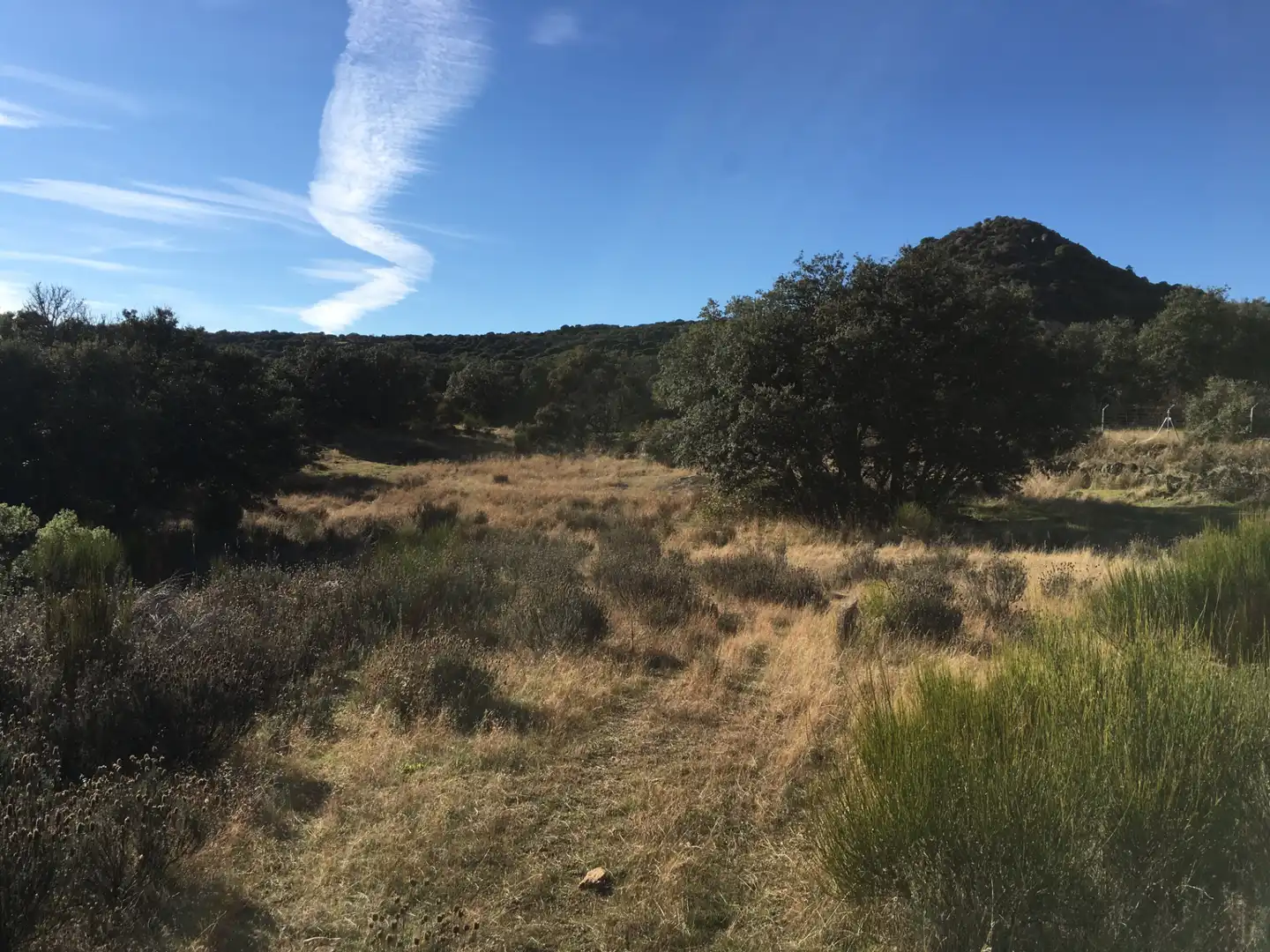 Rural land for sale in Cadalso de los Vidrios, imagen 4