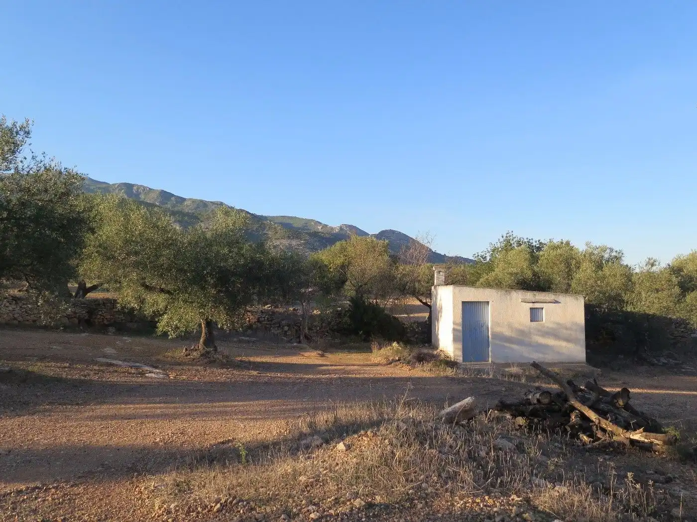 Terrain résidentiel à vendre à Xerta