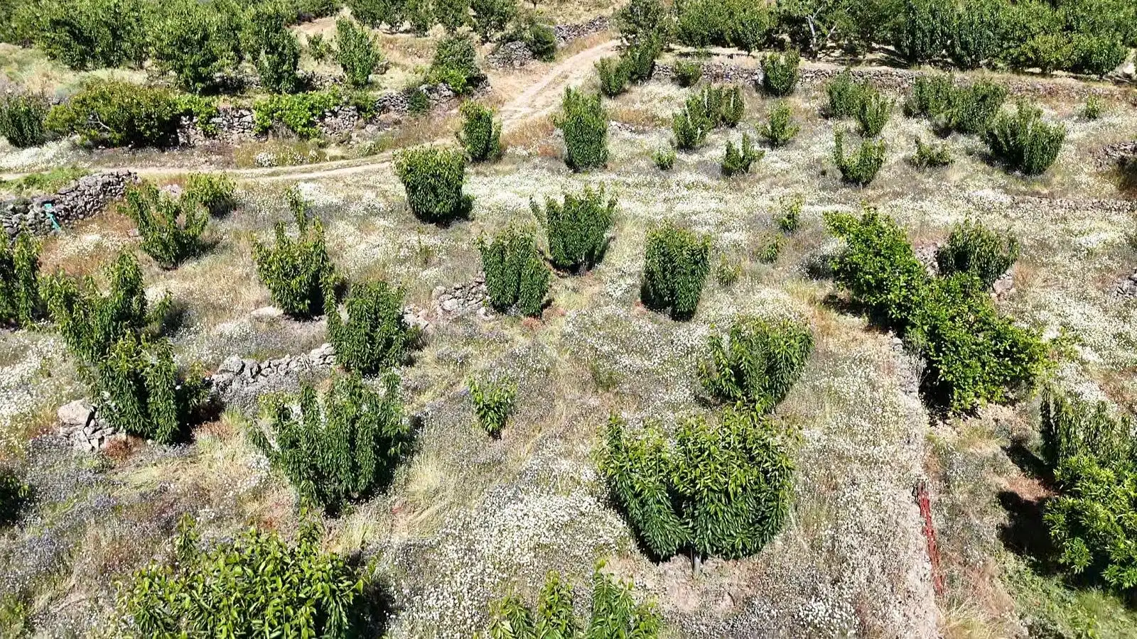 Terreni e lotti in vendita a Urbanizacion el Pajarejo, imagen 17