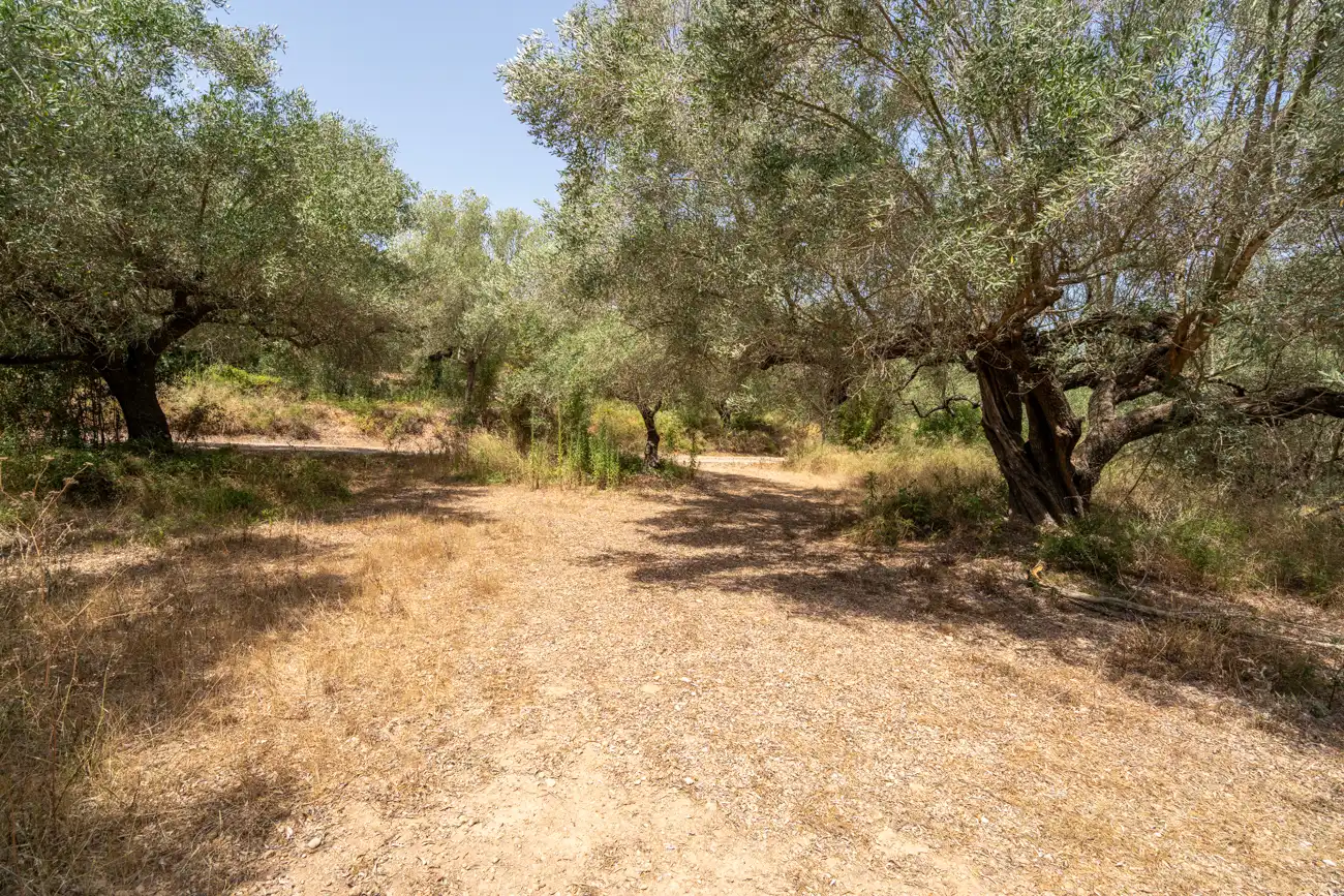 Terreno en venta en Masdenverge