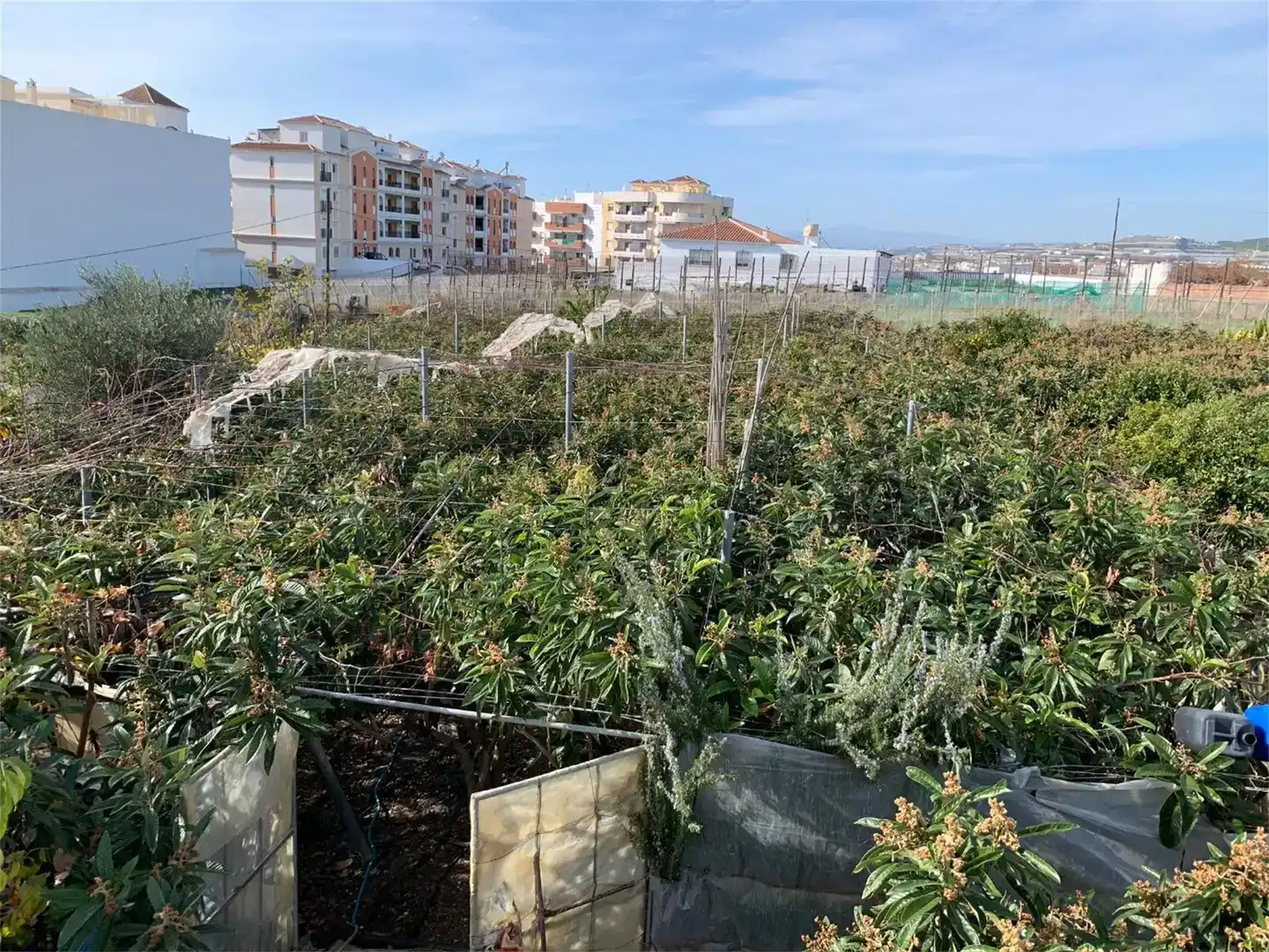 Casa o xalet en venda en Urbanización Santa Rosa