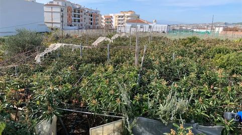 Foto 4 de Casa o xalet en venda a Calle Tabla el Mascuñar, Urbanización Santa Rosa, Torrox