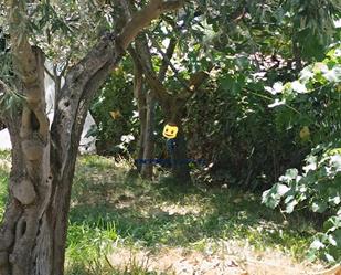 Jardí de Finca rústica en venda en Matilla de los Caños del Río amb Terrassa i Balcó