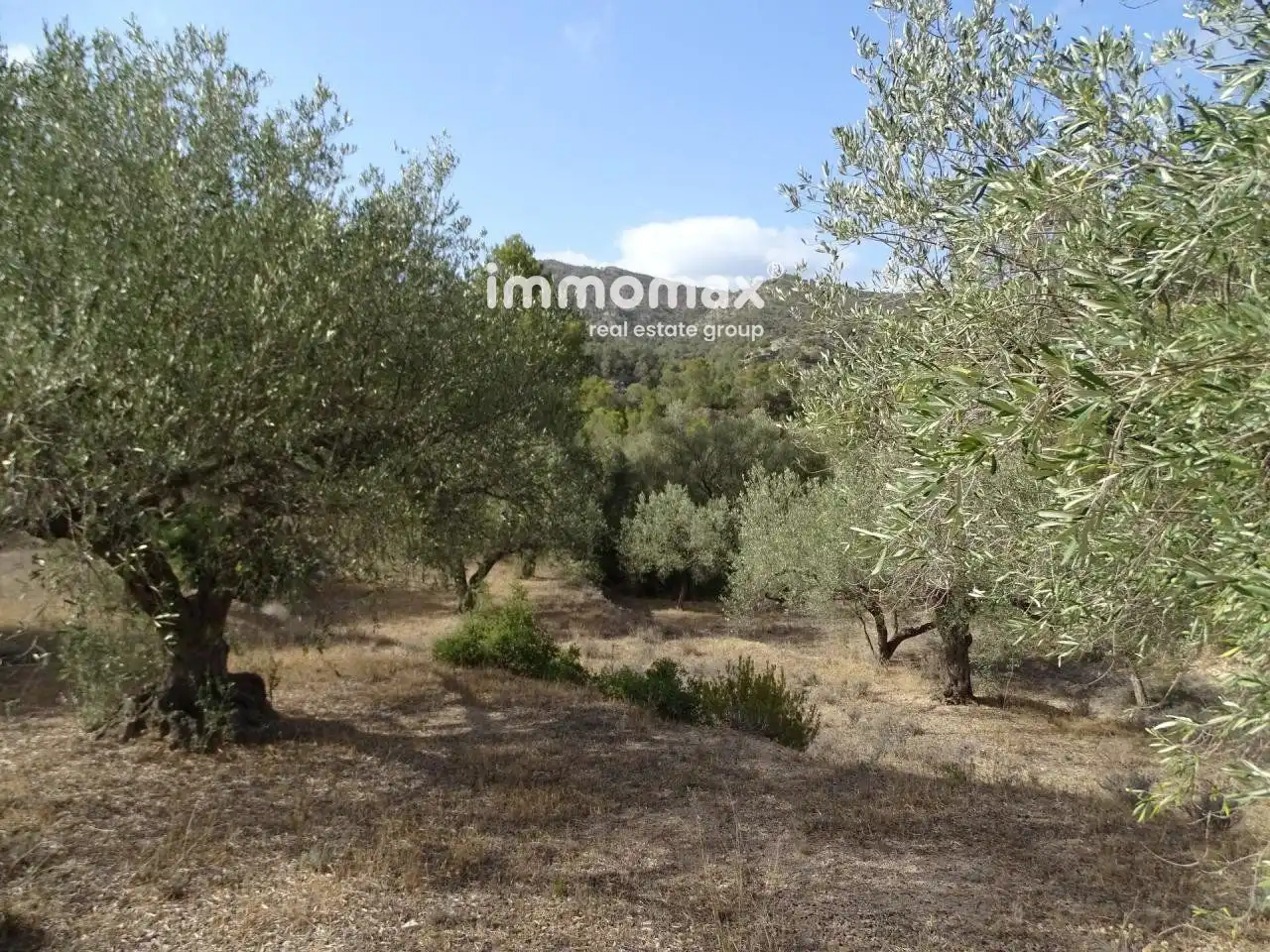 Villa à vendre à Paüls, imagen 19