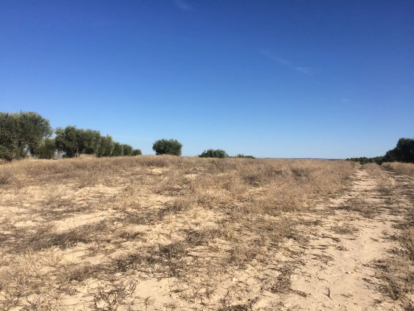 Terreno rustico in vendita a Chinchón, imagen 3