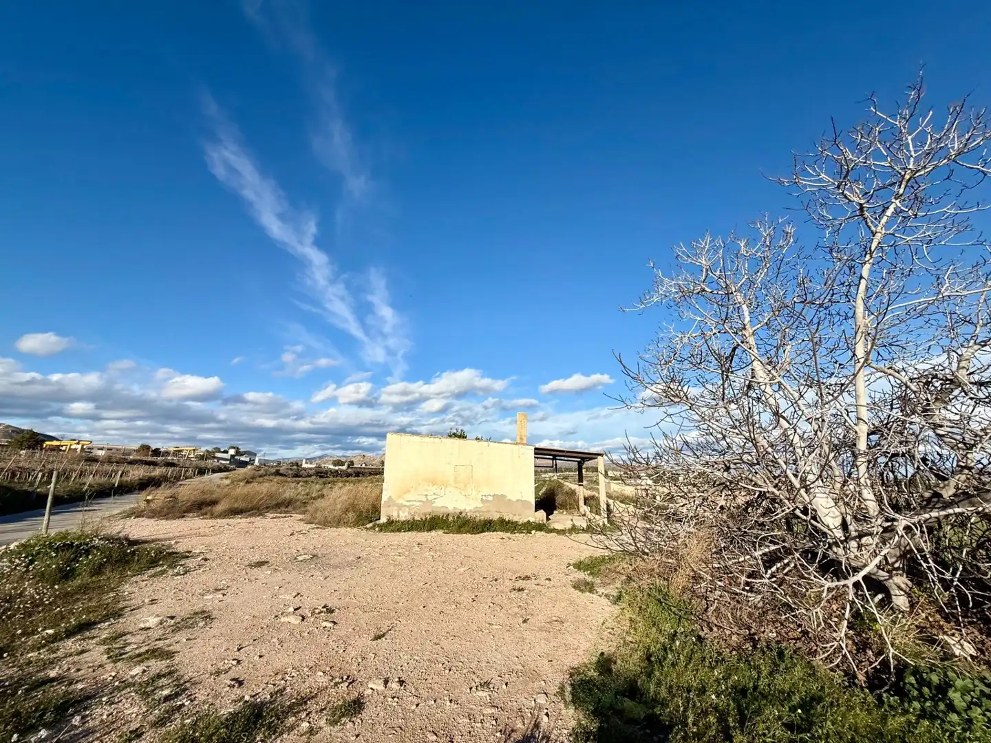 Rural land for sale in Novelda, imagen 7