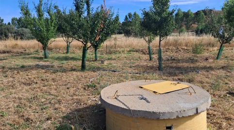 Foto 5 de Finca rústica en venta en Calle Barrero, 11, Camarzana de Tera, Zamora