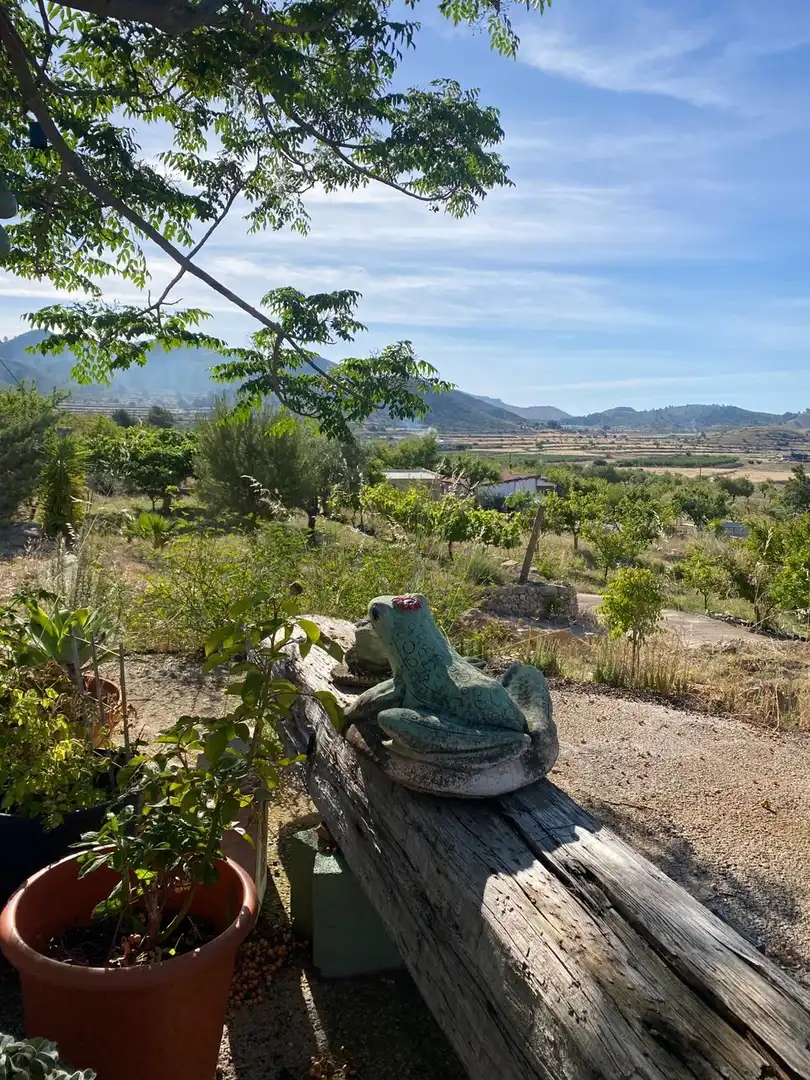 Casa rustica in vendita a Hondón de las Nieves / El Fondó de les Neus, imagen 26