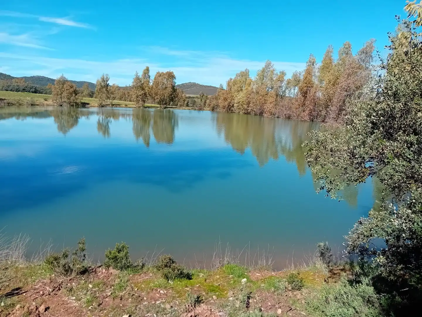 Residential for sale in Puebla de Don Rodrigo