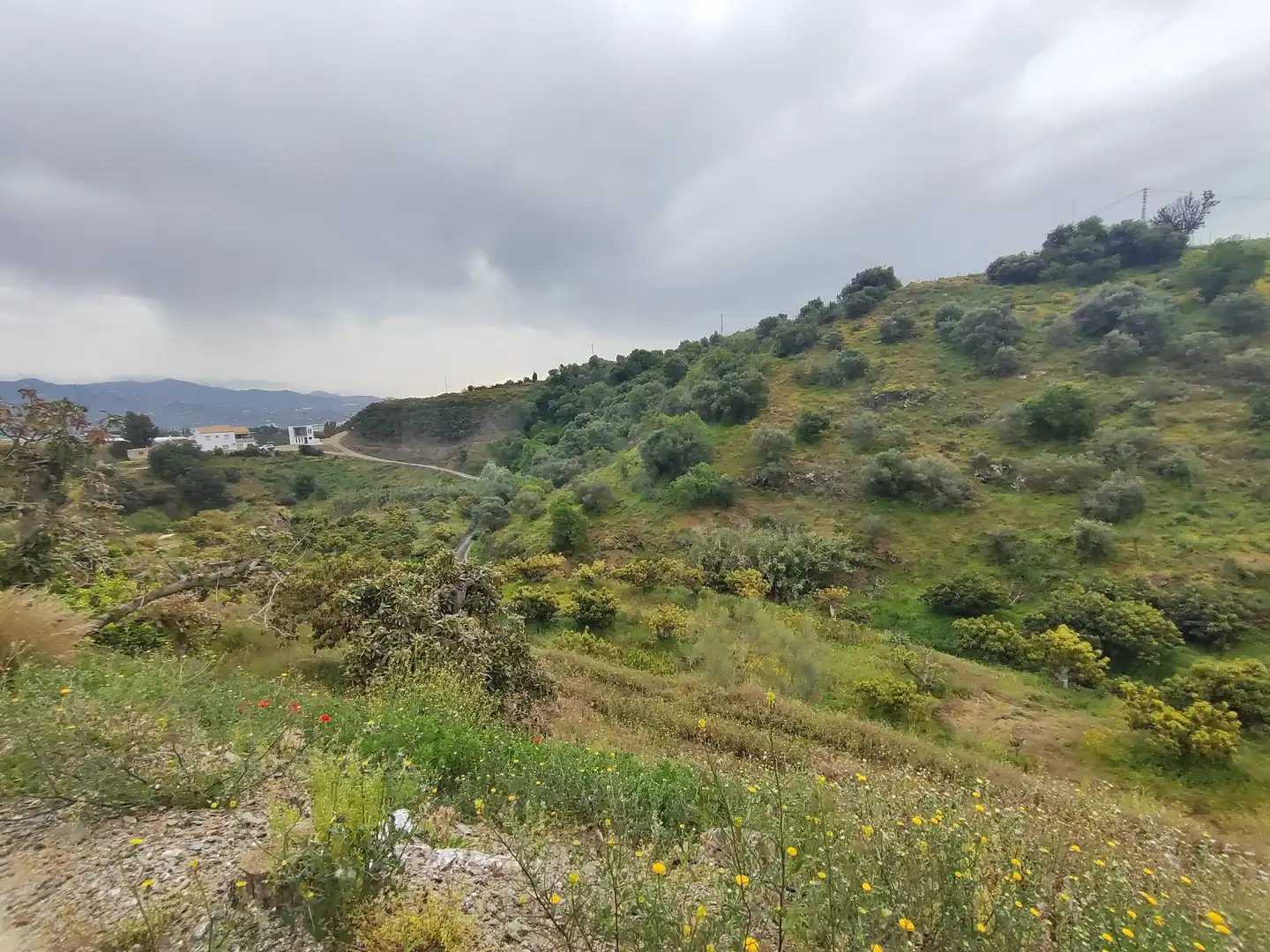 Terreny rústic en venda a Vélez-Málaga ciudad, imagen 15