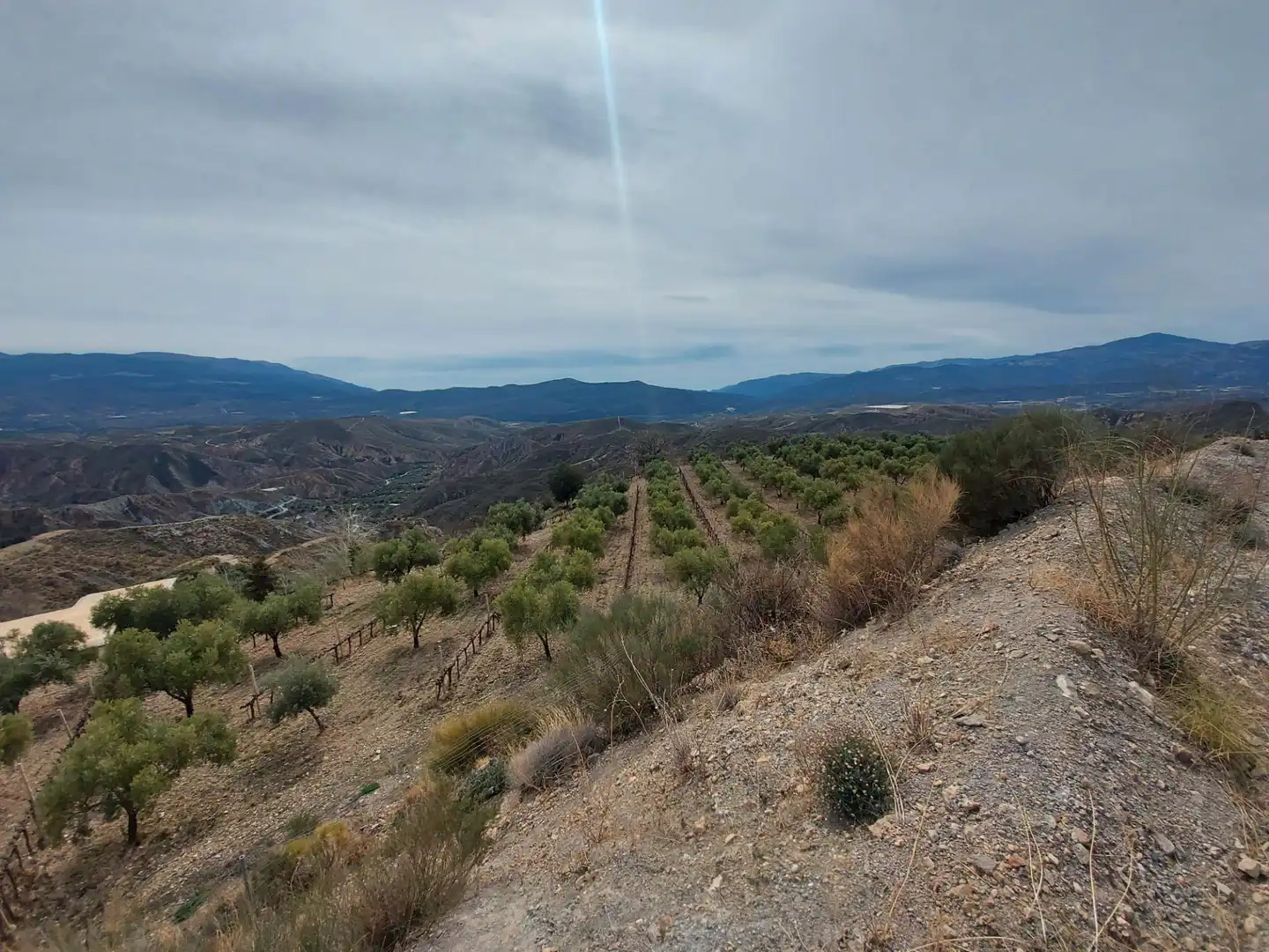 Country homes for sale in Nevada