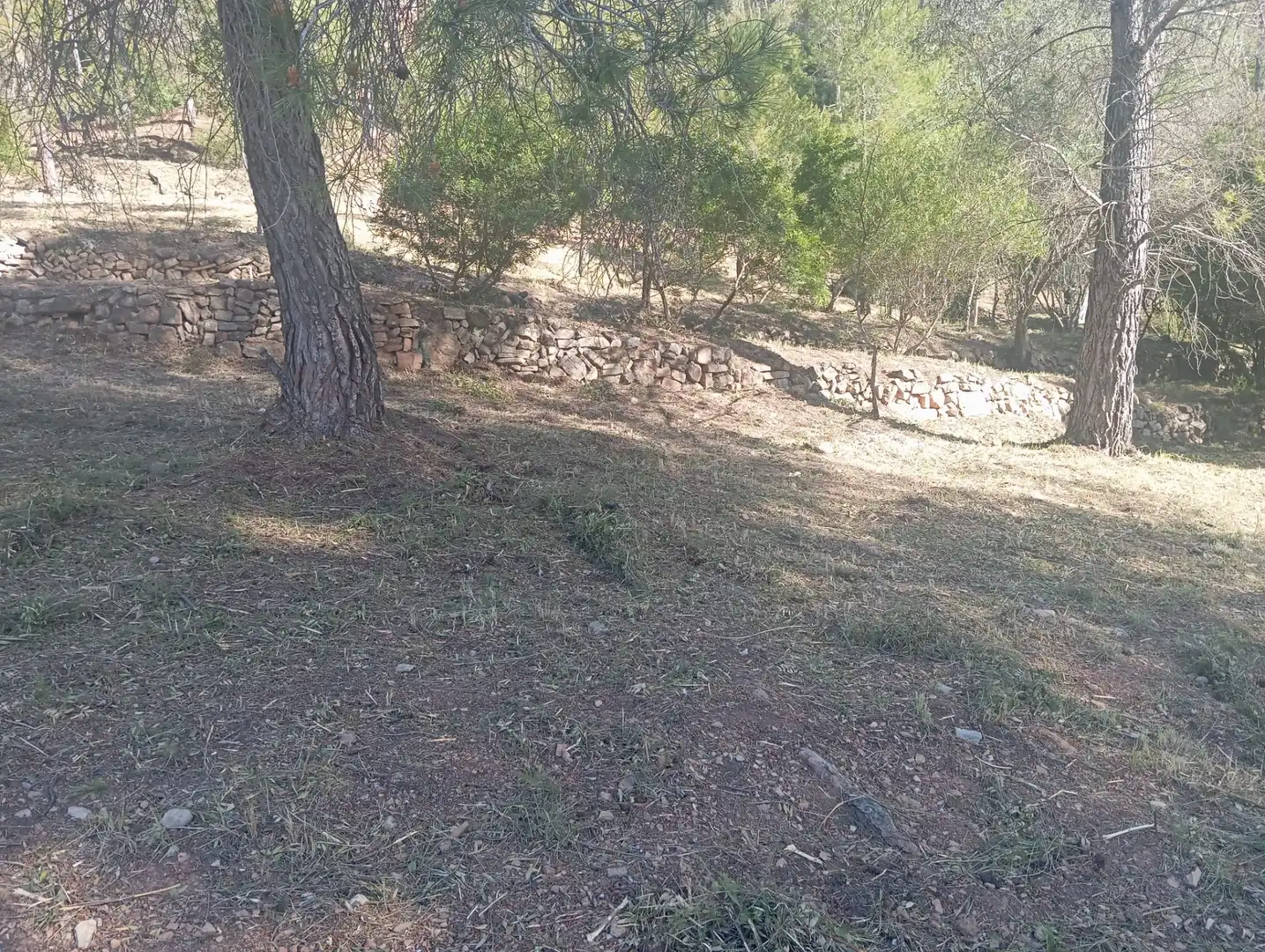 Residencial en venta en Pallejà