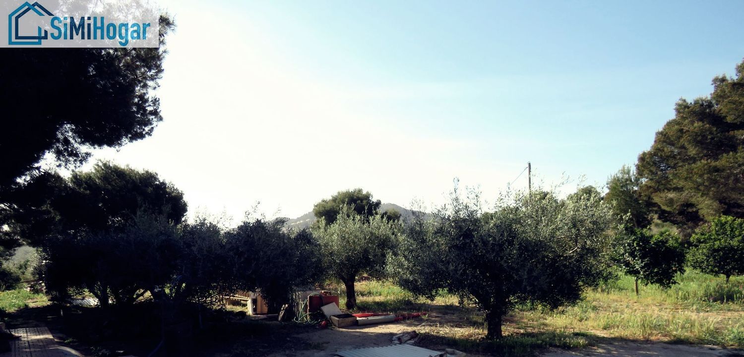 Jardí de Casa o xalet en venda en Cartagena amb Aire condicionat, Jardí privat i Terrassa