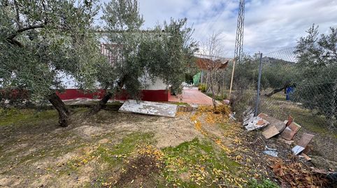 Foto 5 de Casa o chalet en venta en N-432, 362, Alcaudete, Jaén