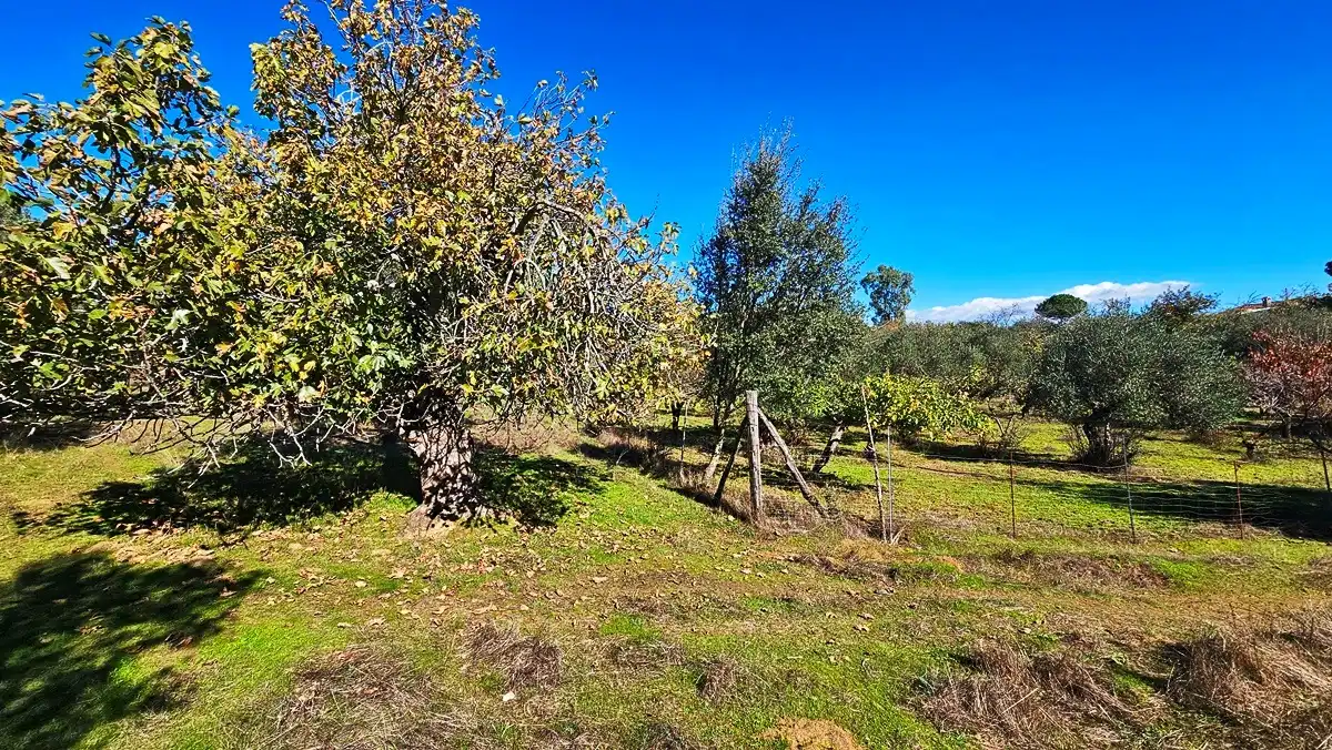 Casa rústica amb jardí en venda a Aracena, imagen 25
