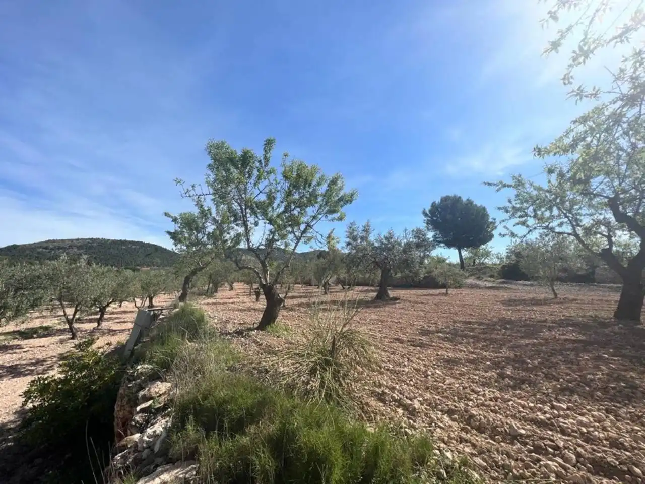 Chalet con jardín en venta en Calle Poligono, imagen 55