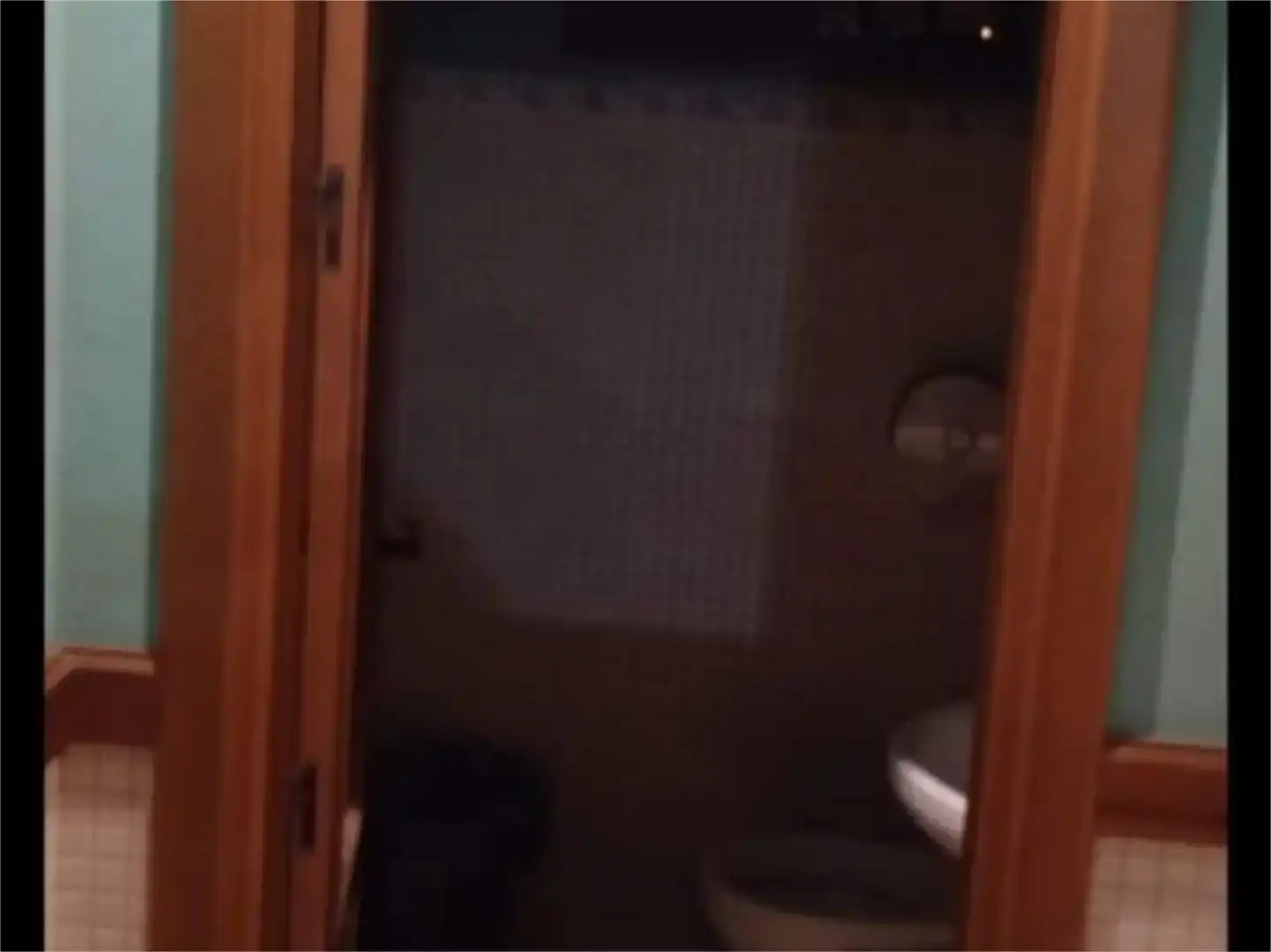 Bathroom of Industrial buildings for sale in Bornos