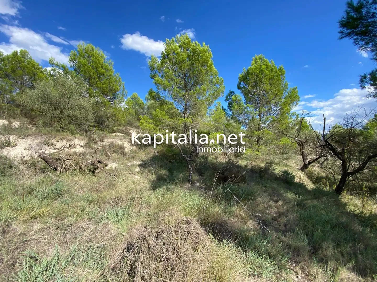 Terreno en venta en Millena
