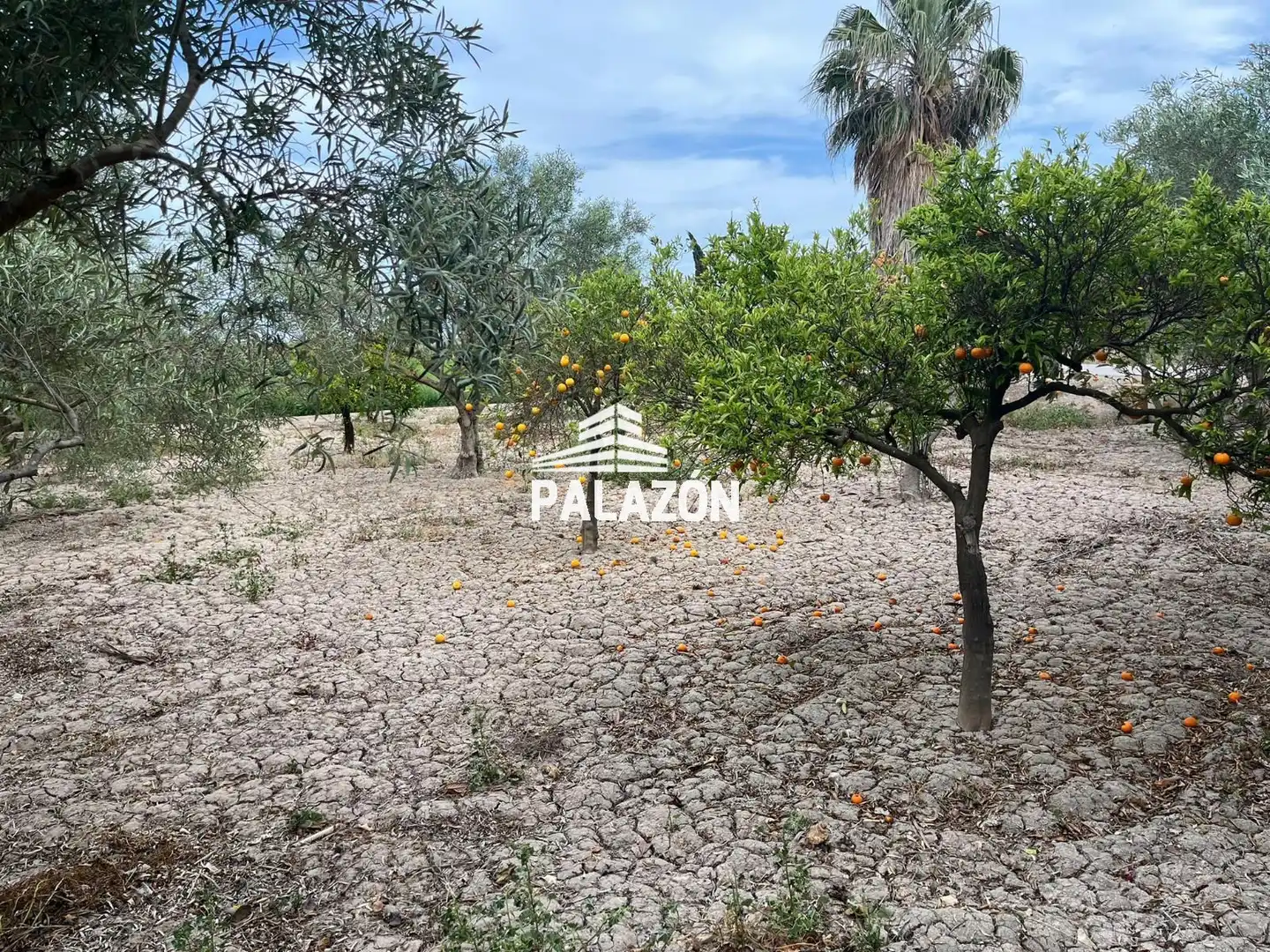 Casa rustica in vendita a Casicas, imagen 4