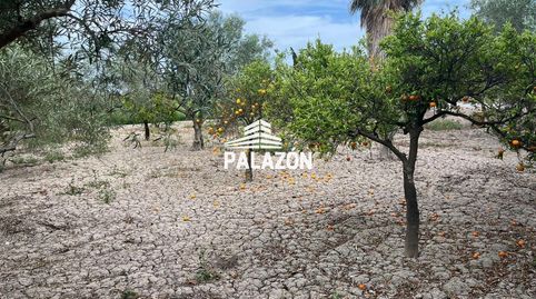 Casa de campo en venta, cerca de Catral Alicante, imagen 4