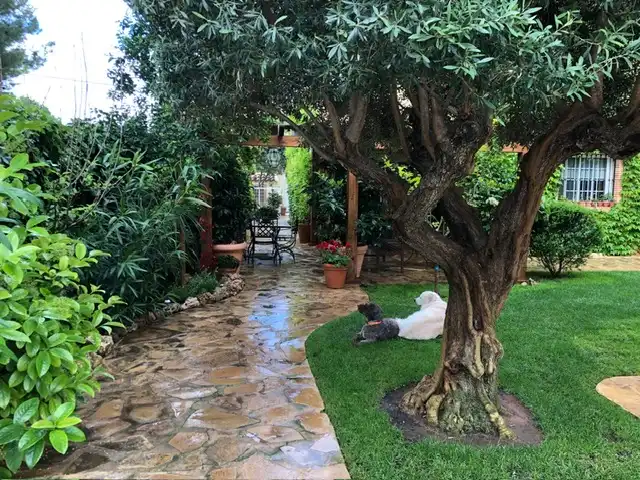 Xalet amb piscina en venda a Avinguda Beniferri, imagen 45