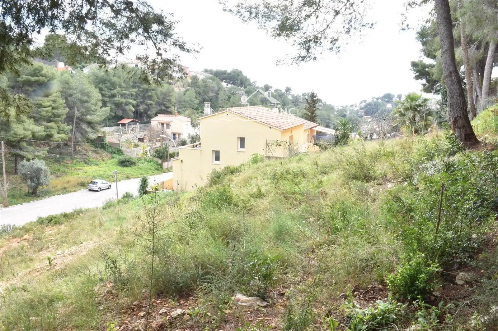 Rural land for sale in GLADIOL, imagen 6