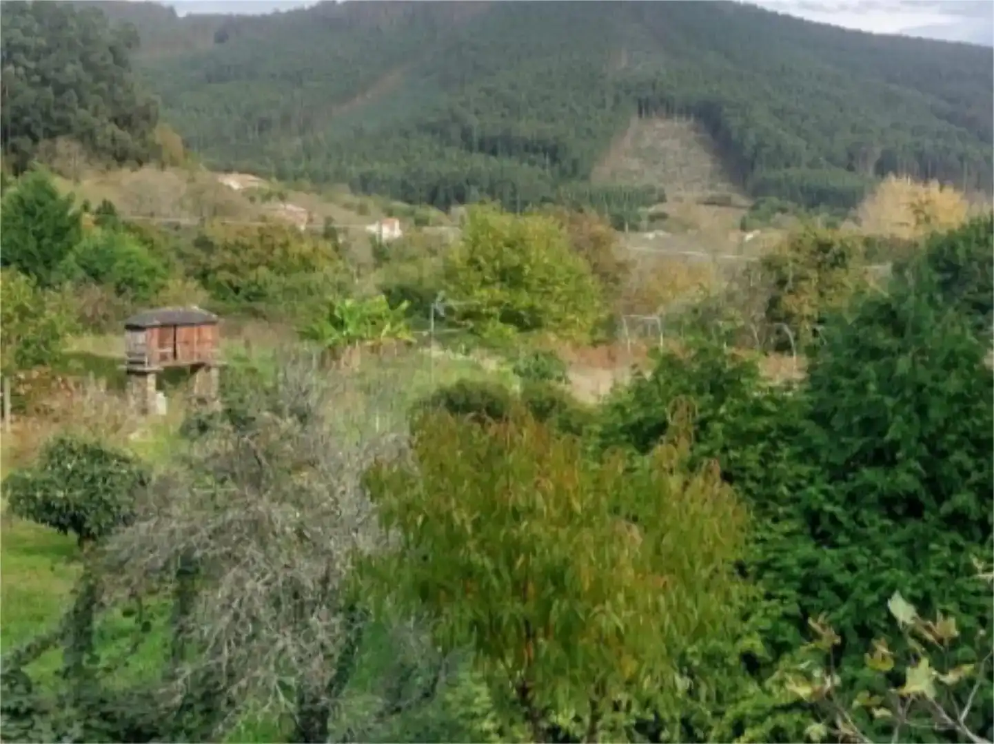 Casa o xalet en venda en Cariño