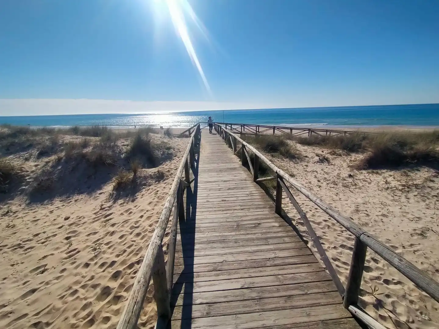 Vista exterior de Casa o chalet de alquiler en Chiclana de la Frontera con Piscina y Amueblado