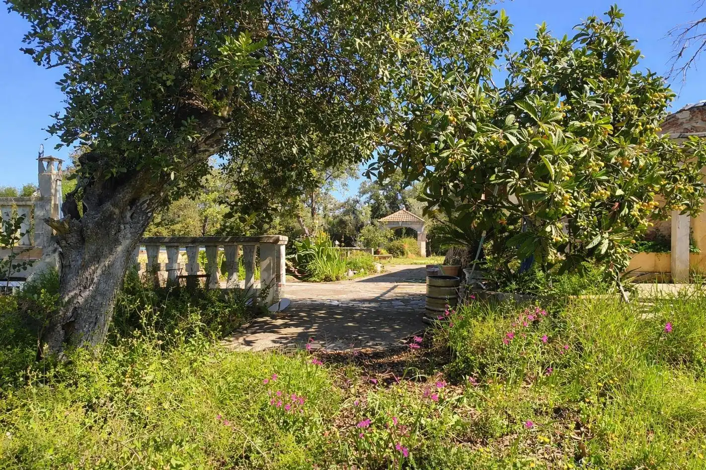Finca rústica de alquiler en Costitx