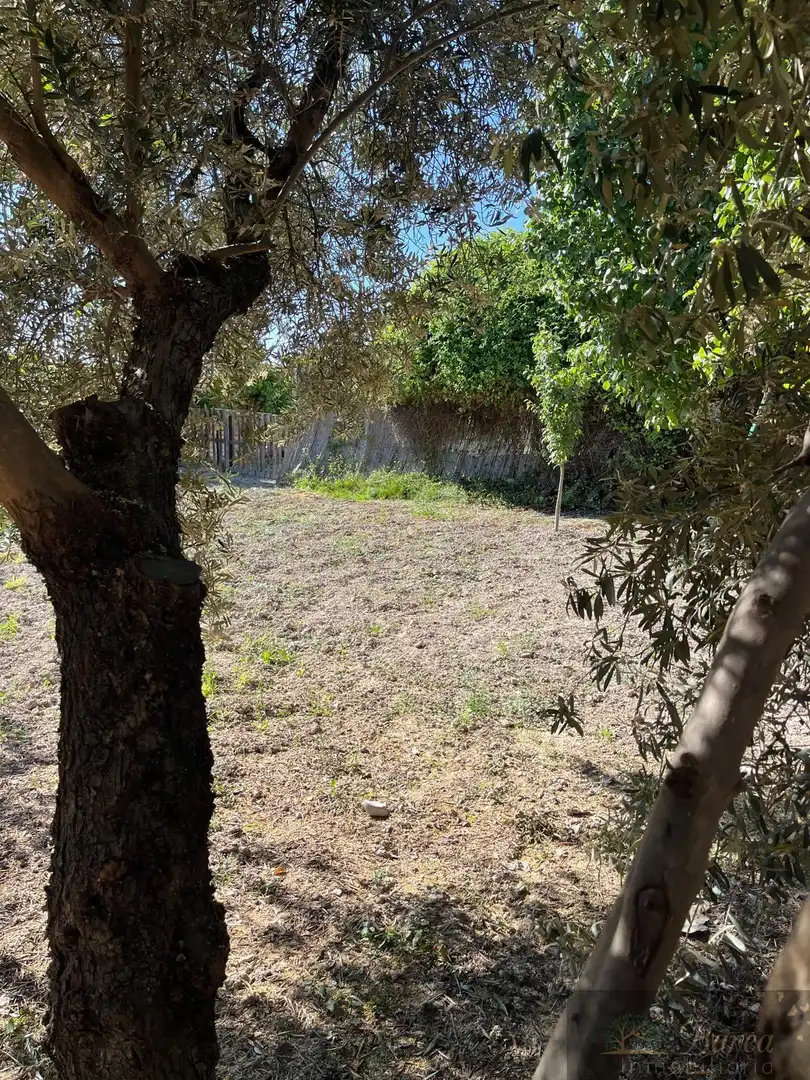 Finca rústica en venta en Rute