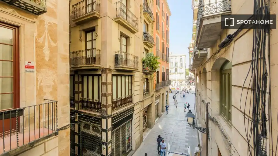Flat with terrace to rent in Ciutat Vella, imagen 2