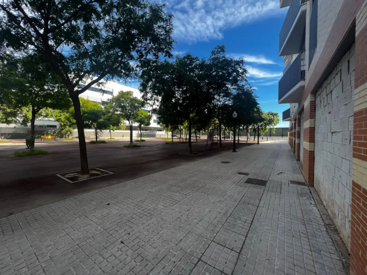 Exterior view of Commercial properties for rent in Elche / Elx