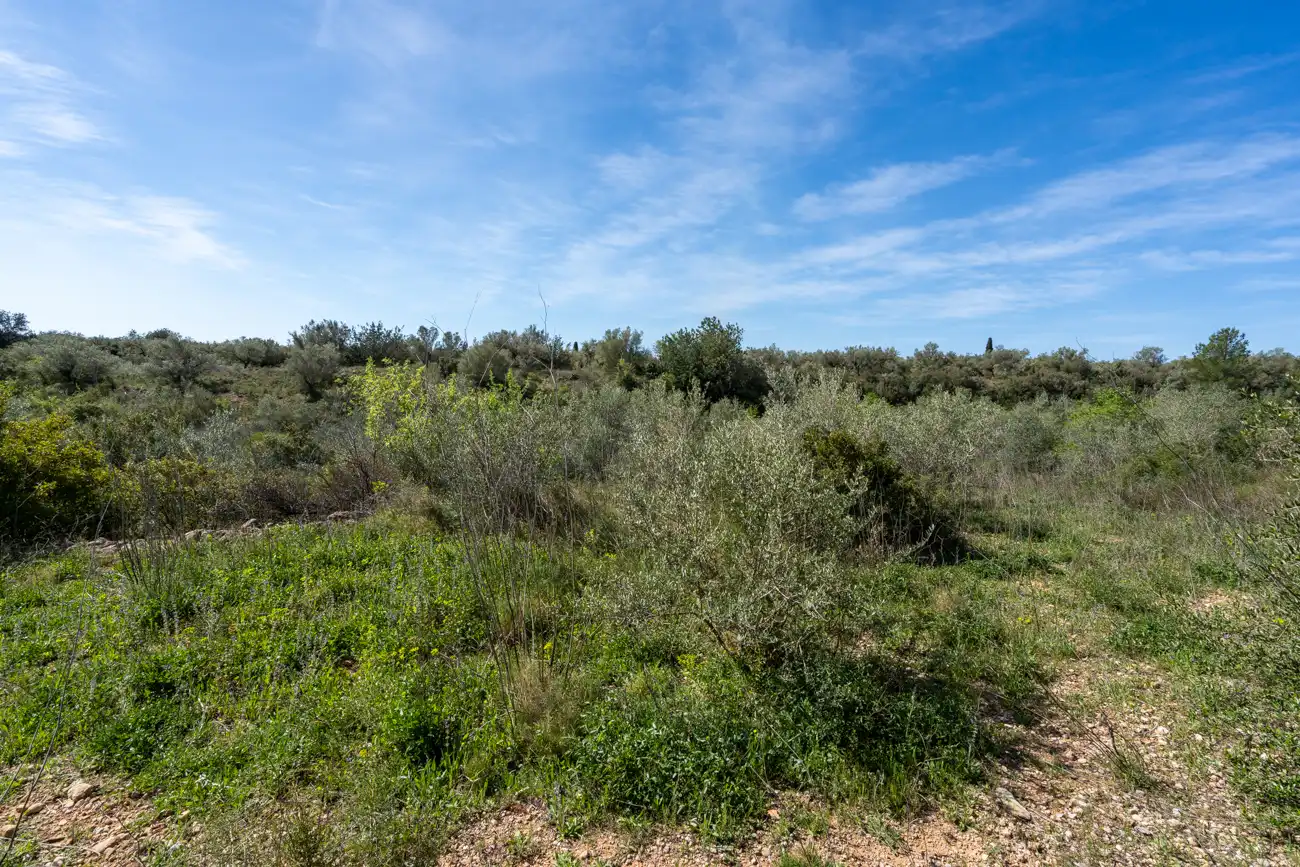 Rustikales Grundstück zum Verkauf in Ulldecona, imagen 11