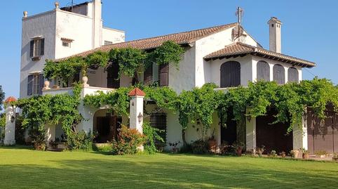 Foto 2 de Finca rústica en venda a El Dossel - Mareny de San Lorenzo, Valencia