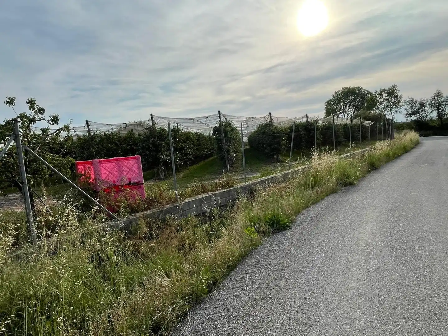 Rural land for sale in Sant Pere Pescador, imagen 28