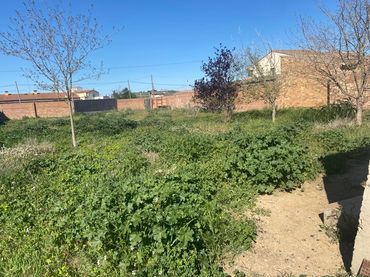 Terreny residencial en venda a Balaguer