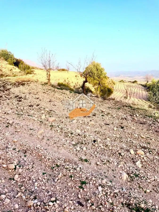 Lands and plots for sale in Vélez-Rubio, imagen 11