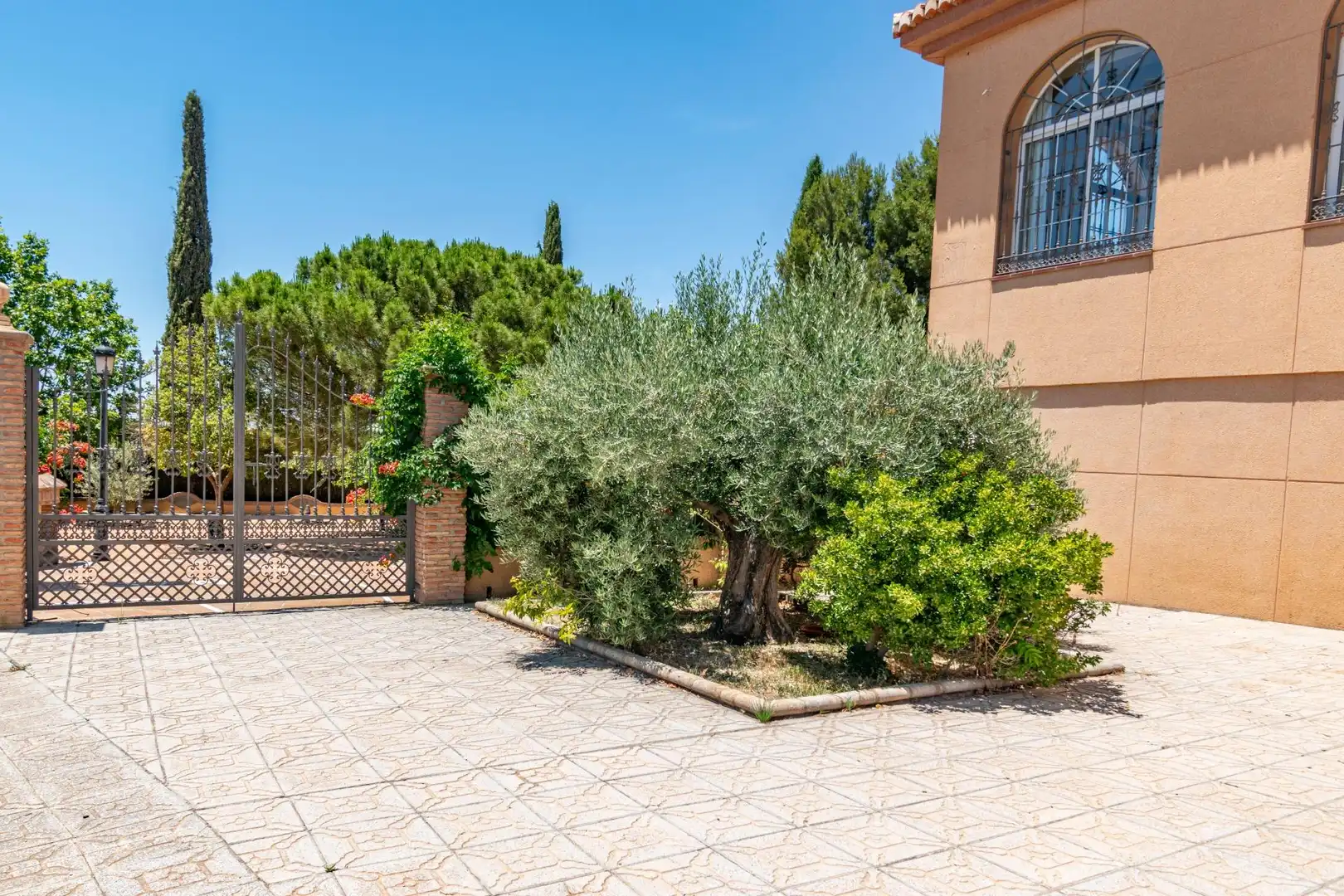 Jardín de Local en venta en Gor con Aire acondicionado, Calefacción y Terraza