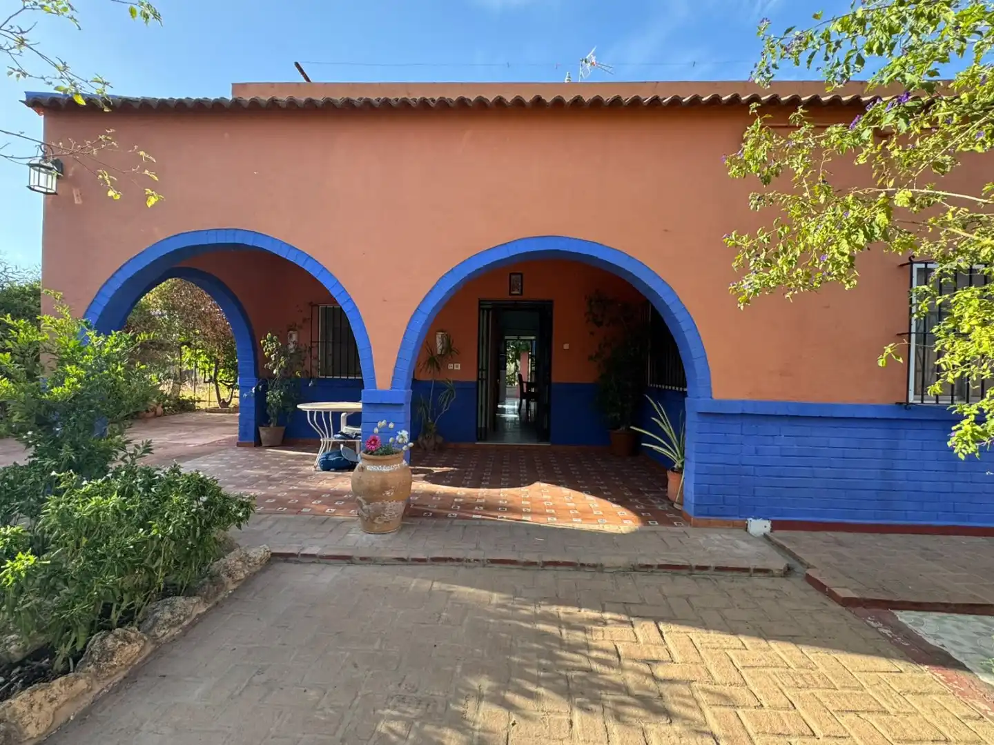 Vista exterior de Finca rústica en venta en Pilas
