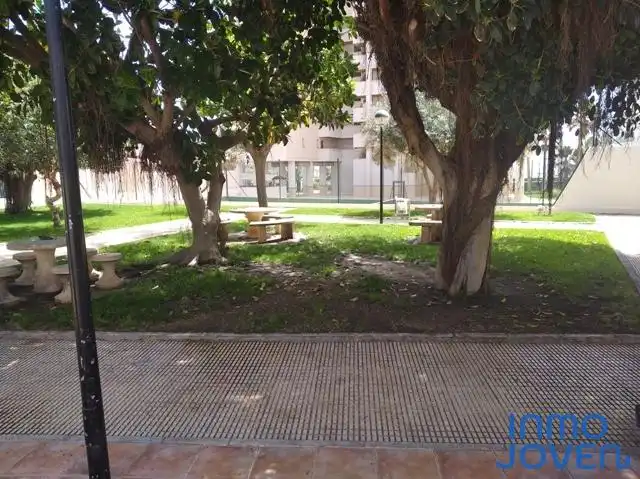 Wohnungen zur Miete in Av. Jaime I, 110, Playa Muchavista