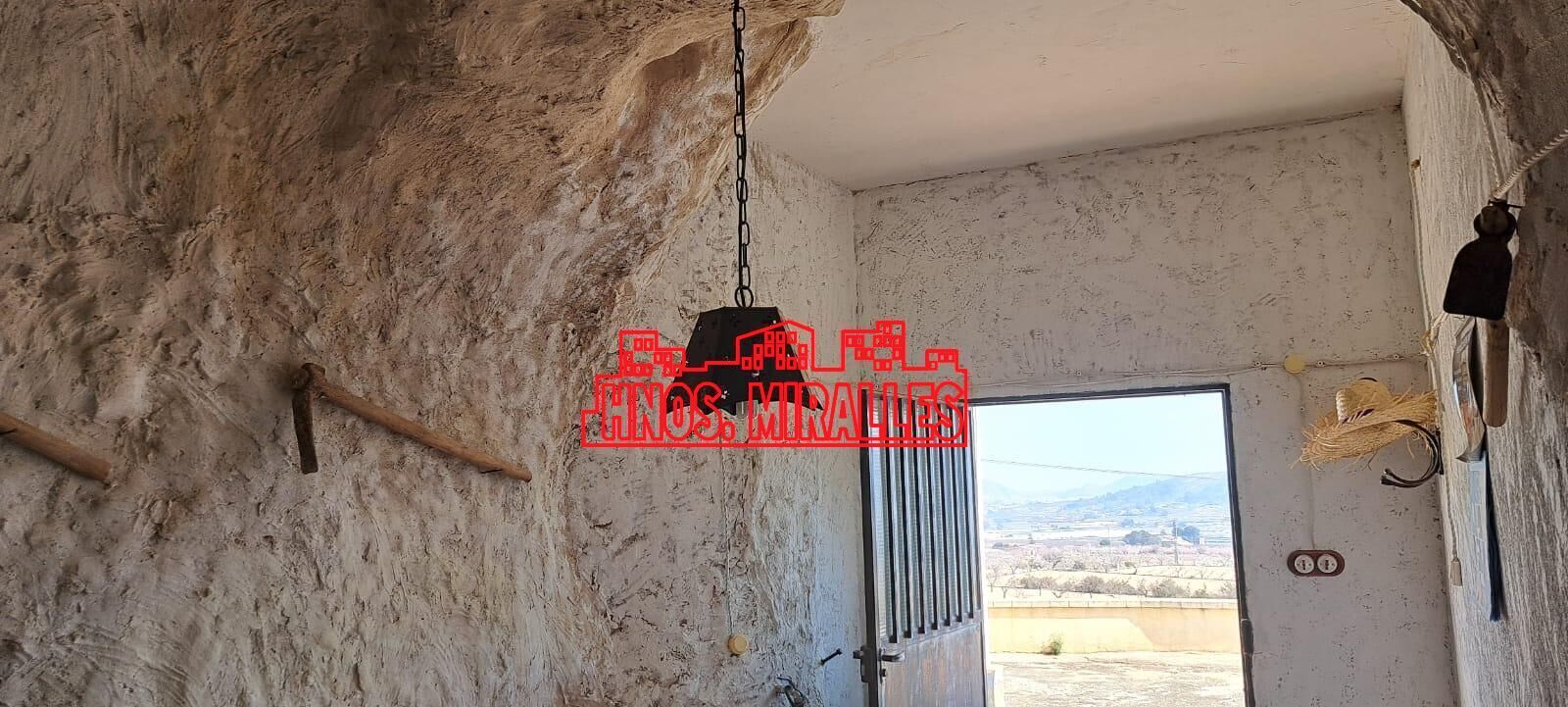 Vista exterior de Casa o chalet en venta en Hondón de las Nieves / El Fondó de les Neus con Amueblado