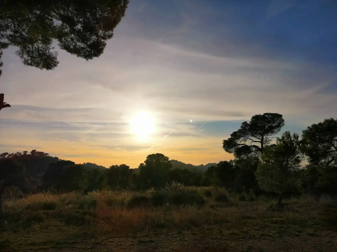 Terrenys i solars en venda a Calle ALBATANA A JUMILLA, imagen 3