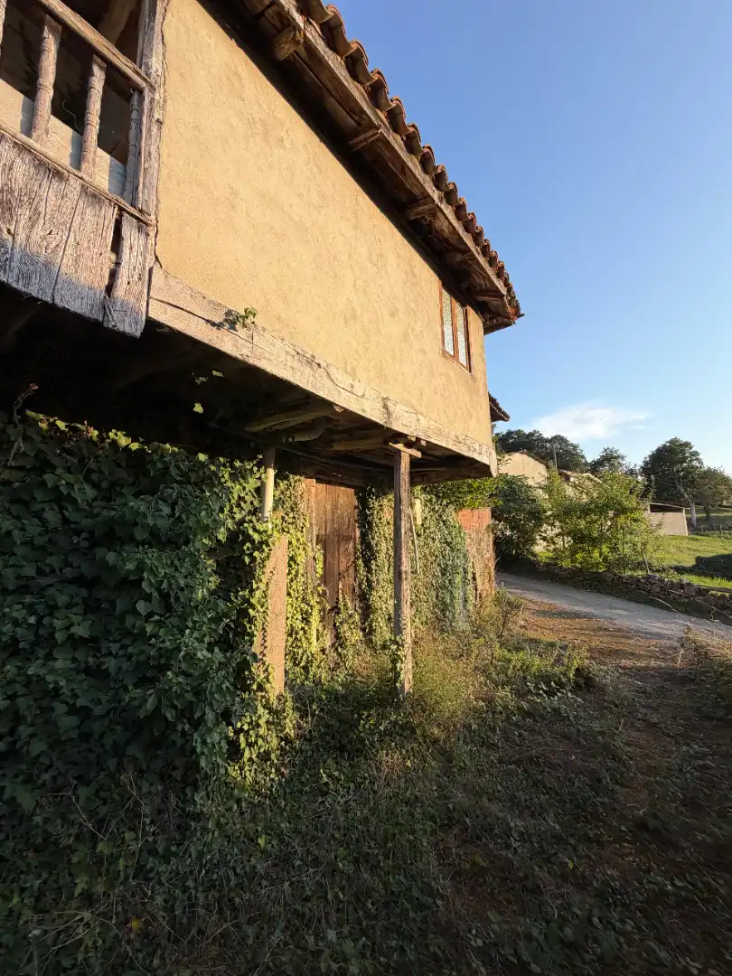 Rural land for sale in Tineo, imagen 12