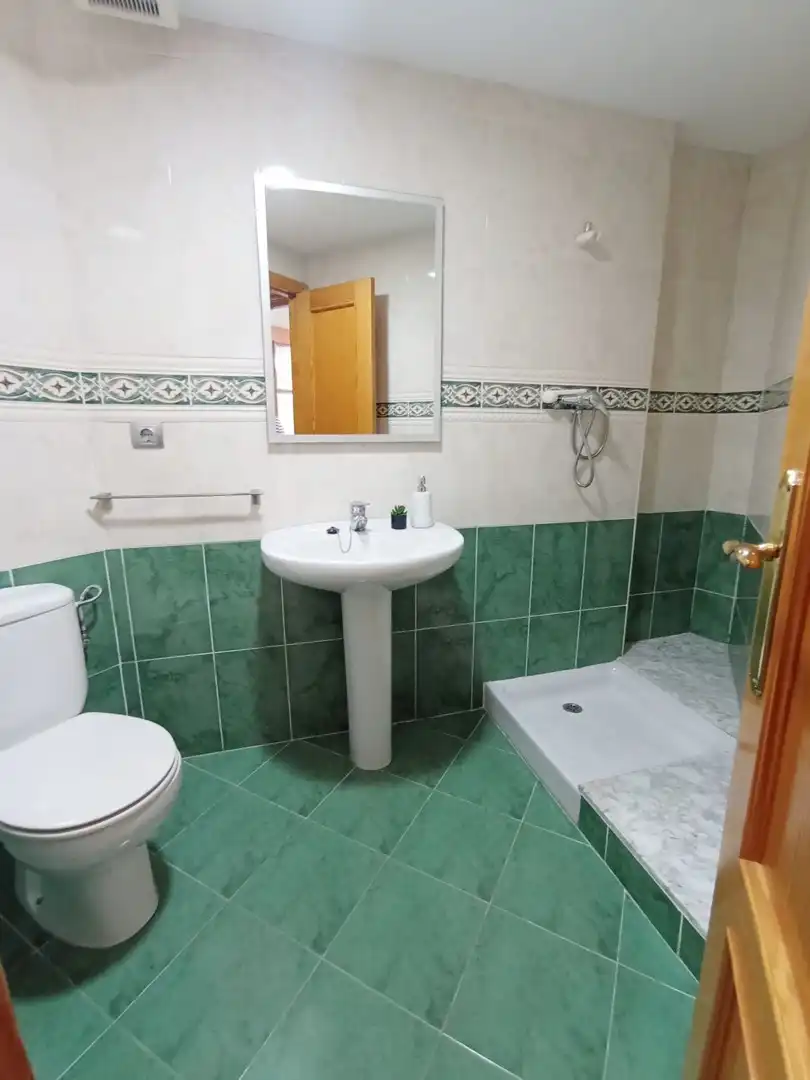 Baño de Piso de alquiler en Paiporta