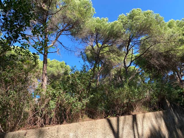 Terreno residencial en Venta en Calle AGUDES en L'Ametlla del Vallès