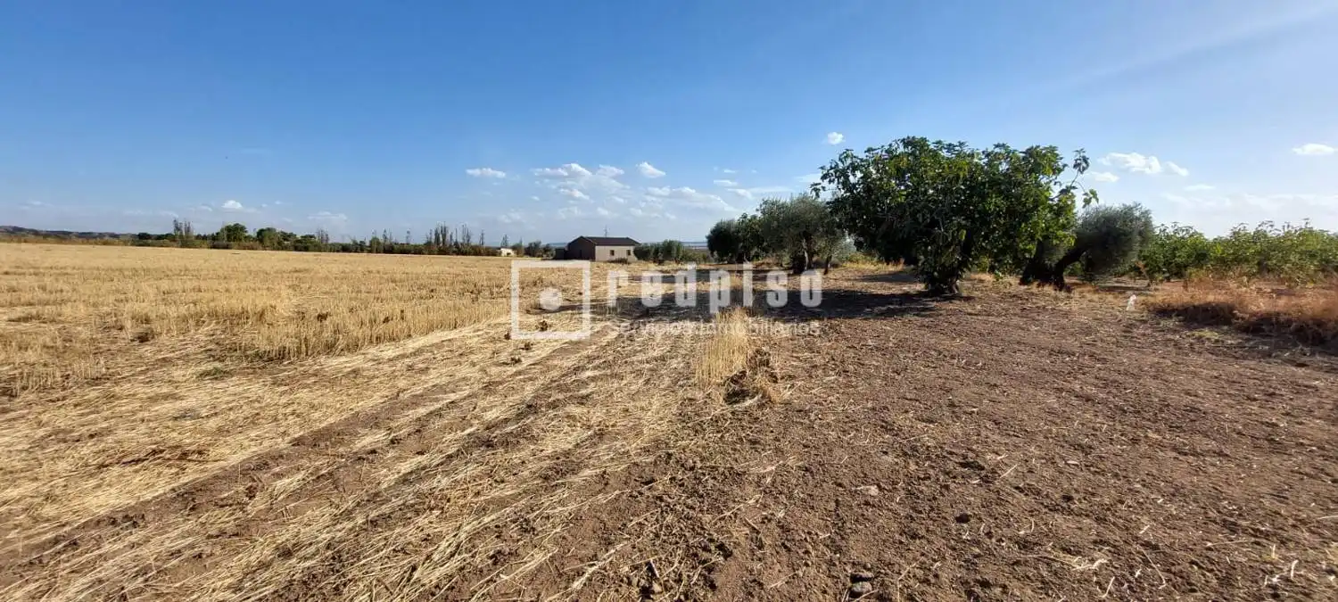 Terreny residencial en venda a Cebolla, imagen 3
