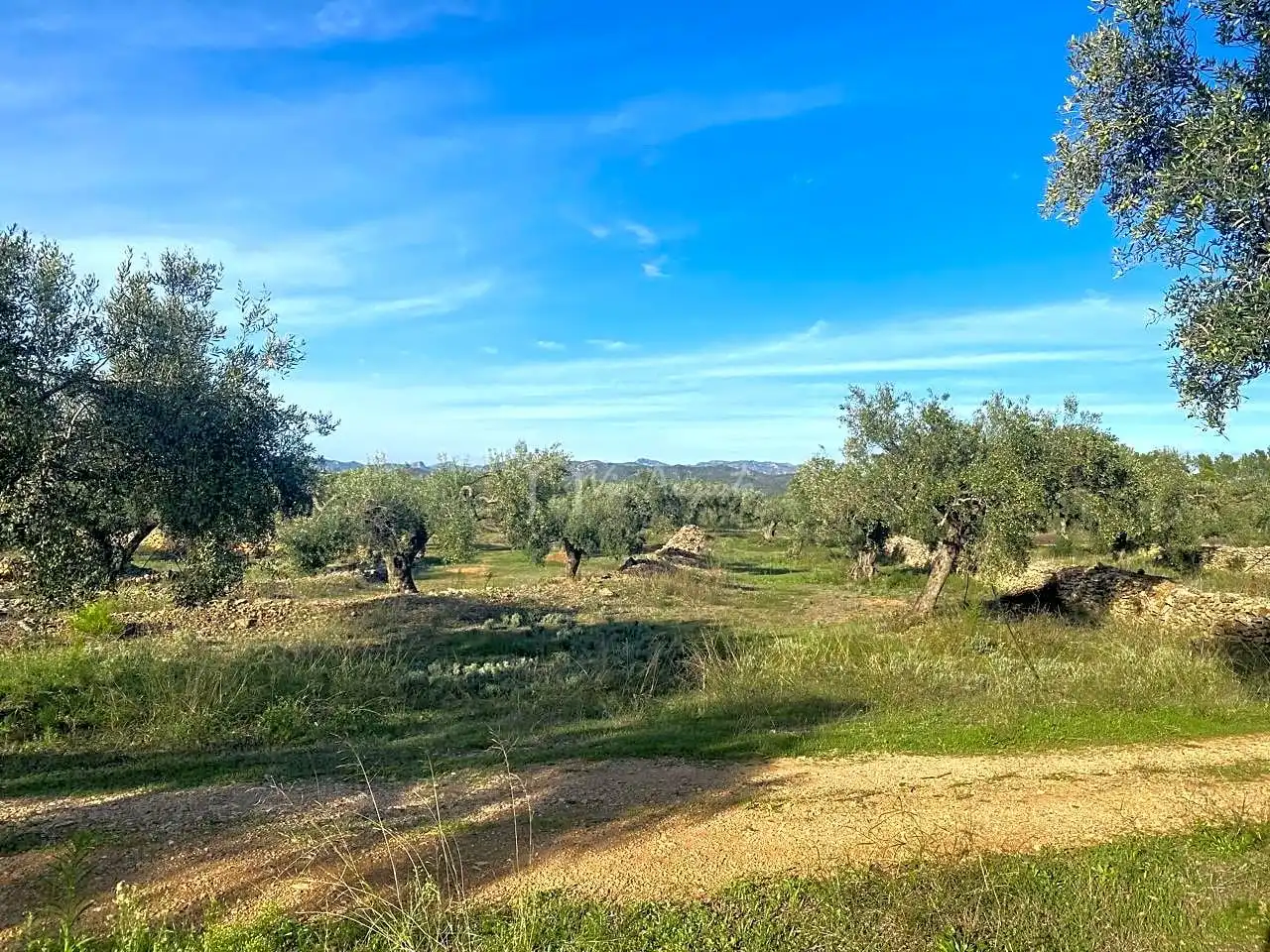 Terrain rustique à vendre à Burgà, imagen 5