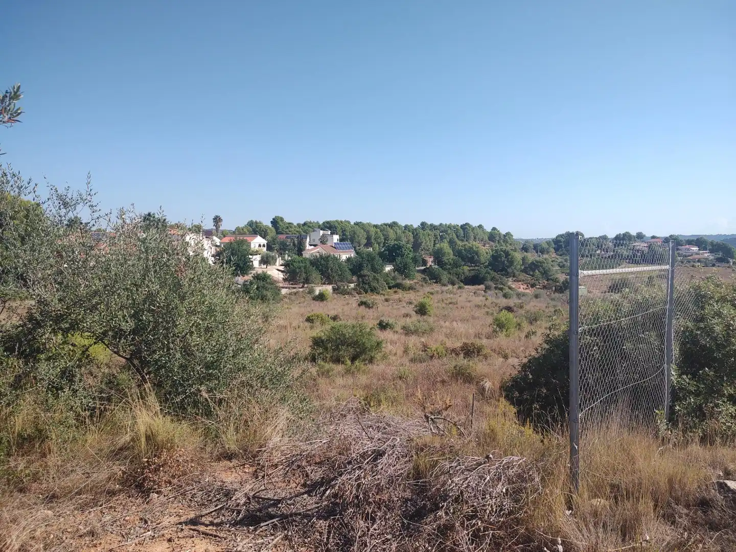Terreno rústico en venta en Carrera Villa de Montroy, imagen 11