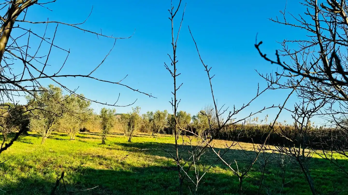Finca rústica en venta en Tudela con Jardín privado