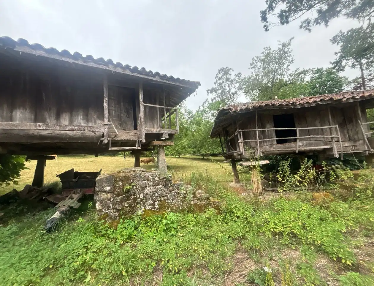Vista exterior de Finca rústica en venda en Gijón  amb Jardí privat